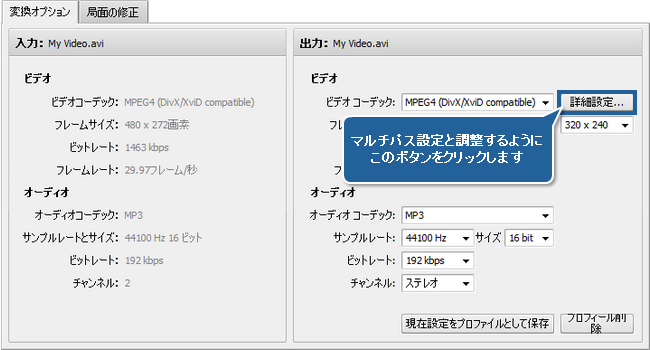 AVS Video Converter でマルチパス変換を実行する方法。ステップ 5