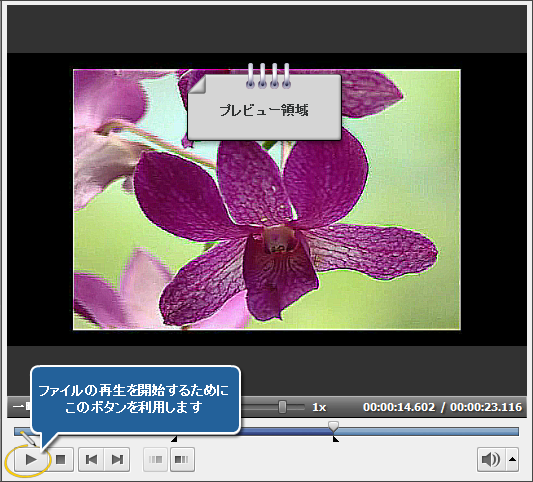 AVS Video Editor でぼやけた動画を復元する方法。ステップ 4