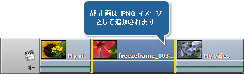 動画のフレームを凍結する方法。ステップ 1