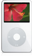 どうやって Apple iPod ビデオ MP4 形式にDVD をリッピングできますか?Apple iPod