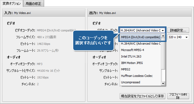 AVS Video Converter でマルチパス変換を実行する方法。ステップ 4