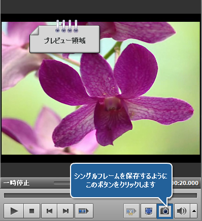 ビデオからイメージをエクスポートする方法。ステップ 4