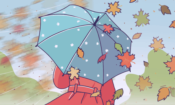 Video online, auf Windows, Mac und mobilen Geräten verlangsamen